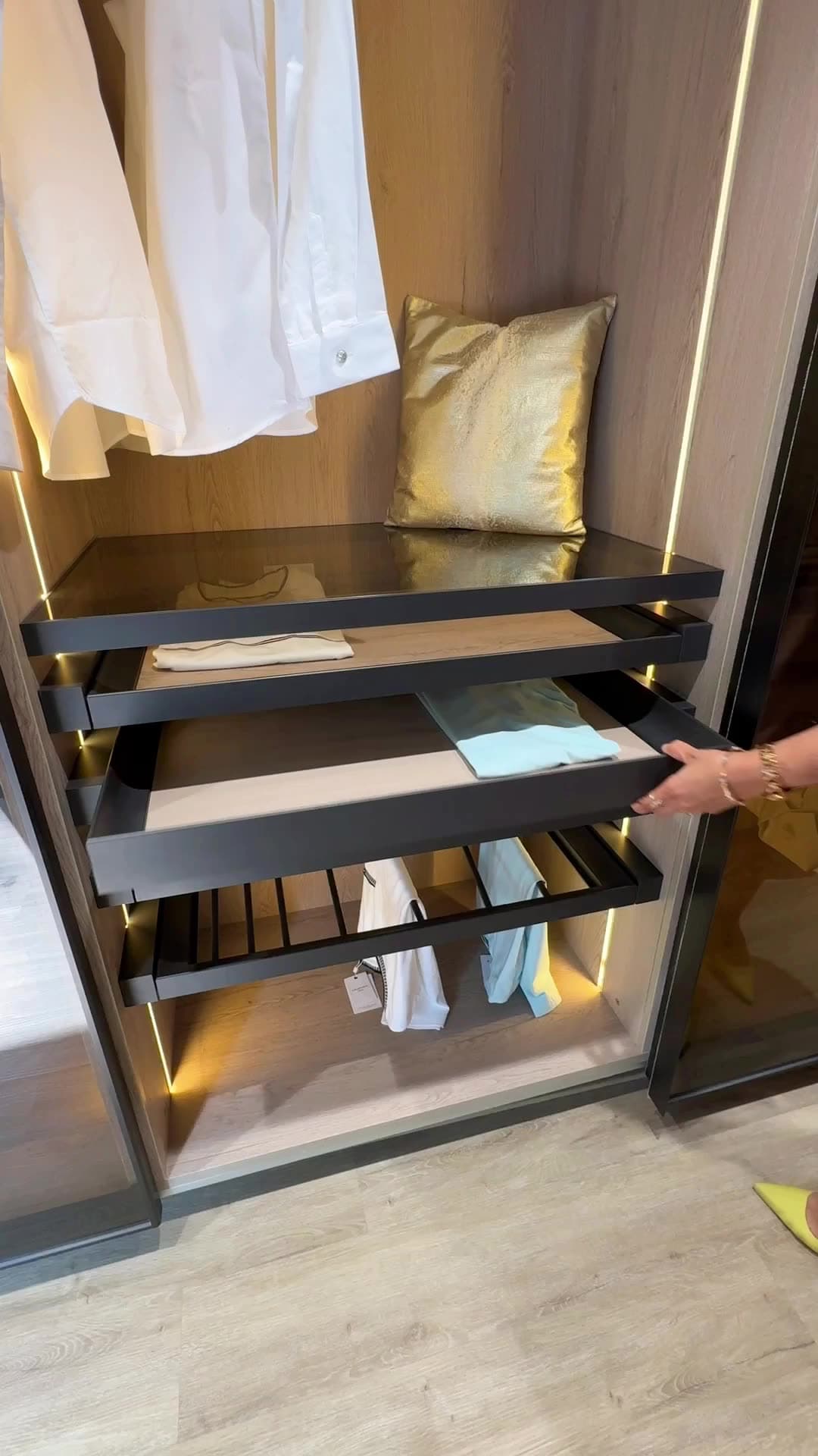 Wardrobe mechanisms — pull-down rails and fitted interiors